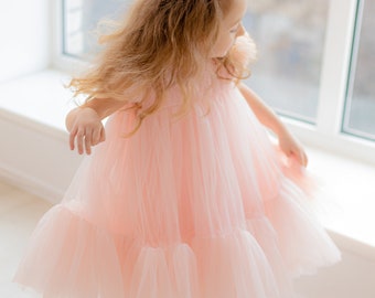 Toddler Tulle Dress, Blush Pink Party Dress, First Day Of School Dress, Flower Girl Dress, Princess Tutu Dress, Occasion Dress, Summer Dress