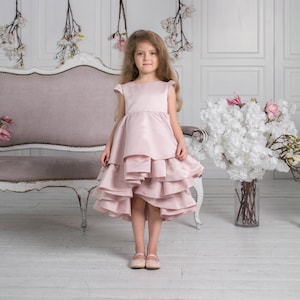Blush Pink Baby Girl Dress, Kids Wedding Dress, Flower Girl Dress, Junior Bridesmaid, 1st Birthday Dress, Toddler Formal Dress, High Low