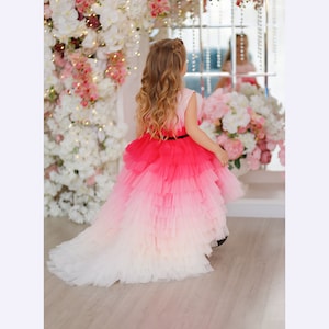 Pink Princess Dress, Flower Girl Dress, Toddler Gown Dress, Girl Tutu Dress, Formal Tulle Dress, Photoshoot Dress, Special Occasion Dress