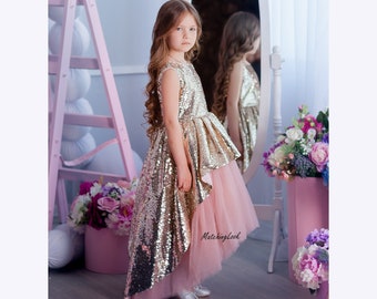 Flower Girl Dress, Gold Sequin Dress, Photoshoot Dress Girl, Birthday Dress, Tulle Tutu Dress, Party Girl Dress, Toddler Tulle Dress, Gift