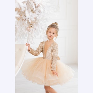 Champagne Tulle Dress, Cream Tutu Princess Dress, Little Girl Party Dress, Short Frilled Tulle Dress, Baptism Dress, Toddler Puffy Dress
