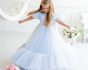 Dusty Blue Girl Dress with Pearls, Tulle Gown Dress, Puff Sleeves Dress, Toddler Tutu Dress, Alice in Wonderland Dress, Birthday Party Dress