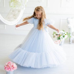 Dusty Blue Flower Girl Dress With Pearls, Light Blue Girl Dress, Baby Blue Toddler Dress,Handmade Dress-Up Costumes,Alice in Wonderland Gown