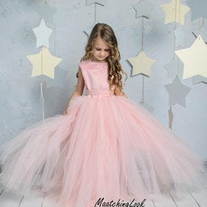 Blush Flower Girl Dress, Blush Tutu Dress, Heart Back Girl Dress, Cinderella Dress, Princess Dress, 1st Birthday Dress, Toddler Gown Dress