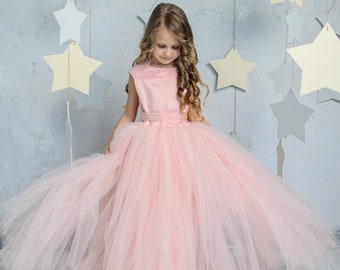 Blush Flower Girl Dress, Blush Tutu Dress, Heart Back Girl Dress, Cinderella Dress, Princess Dress, 1st Birthday Dress, Toddler Gown Dress