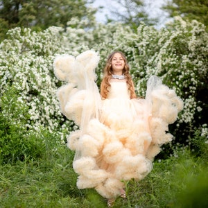 Bloemenmeisje jurk, peuter meisjes Tule jurk, lange Ruffle Tule jurk, Kids trouwjurk, peuter Champagne feestjurk, Frilled Tutu jurk afbeelding 9