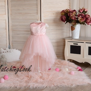 Vestido de menina, vestido de menina rosa, vestido de primeiro aniversário, vestido de sessão de fotos, vestido de batismo, vestido de flor, vestido de festa de menina, vestido alto e baixo