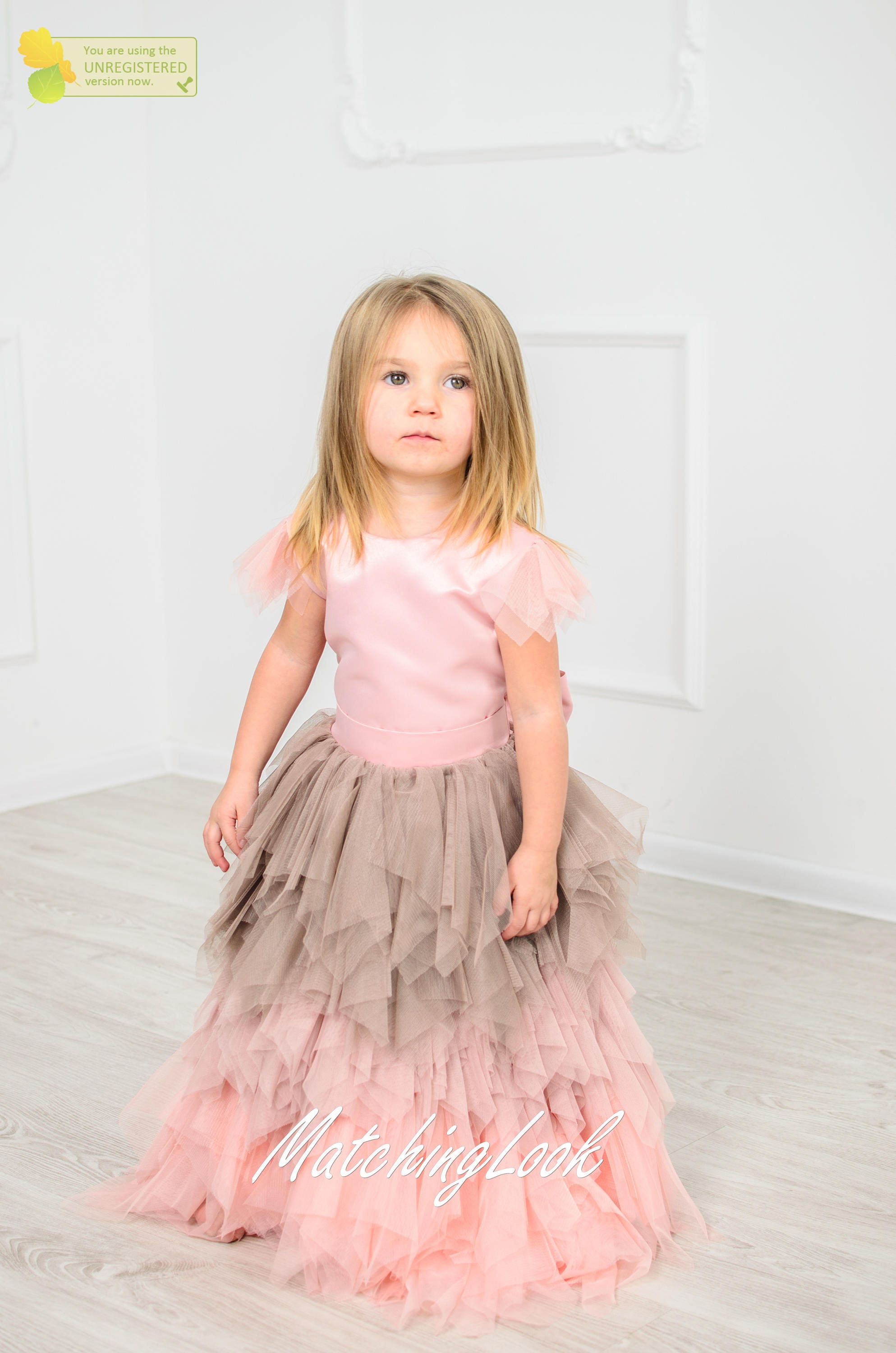 Birthday Dress 1 Year Old Flower Girl Dress Pink Tutu Dress Etsy