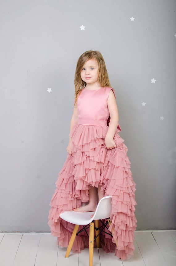 Buy Flower Girl Dusty Rose Tutu Tulle Dress, Pageant Train Dress