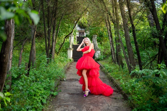 High Low Tulle Dress, Photoshoot Dress, Statement Couture Gown, Tiered Dress, Adult Tutu Dress, Wedding Guest Dress, Prom/Graduation Dress