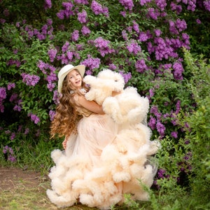 Bloemenmeisje jurk, peuter meisjes Tule jurk, lange Ruffle Tule jurk, Kids trouwjurk, peuter Champagne feestjurk, Frilled Tutu jurk afbeelding 7