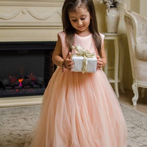 Blush Girl Dress, Peach Princess Dress, 1st Birthday Dress, Toddler Gown Dress, Girl Flower Dress, First Communion Dress, Christening Dress