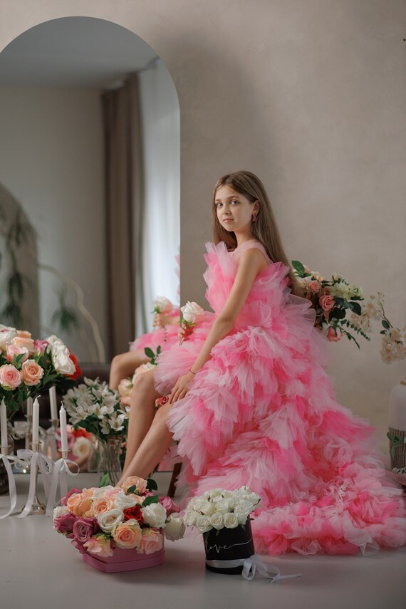 Pink Ombre Tutu Hi Lo Dress For Girls, Flower Girl Dress, Princess Tulle Tutu Dress, Girls Wedding Dress, Junior Bridesmaid Gown, Formal Pink Ombre Tutu Hi Lo Dress For Girls, Flower Girl Dress, Princess Tulle Tutu Dress, Girls Wedding Dress, Junior Bridesmaid Gown, Formal