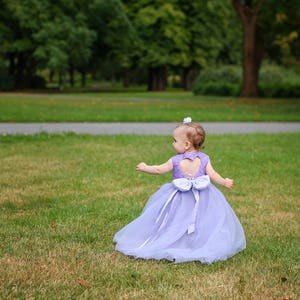 1st Birthday Girl Outfit, Flower Girl Dress, Baby Flower Girl Dress, Baby Tutu Dress, Baby Dress Lace, Girls Lace Dress, Princess Dress image 1