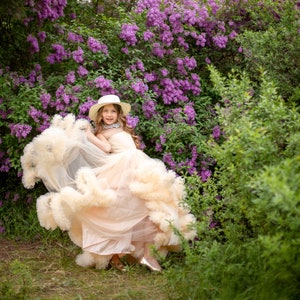 Bloemenmeisje jurk, peuter meisjes Tule jurk, lange Ruffle Tule jurk, Kids trouwjurk, peuter Champagne feestjurk, Frilled Tutu jurk afbeelding 5