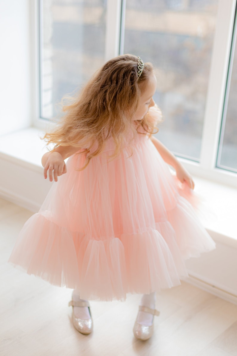 Blush Pink Girl Dress Party Tulle Dress Baby Birthday Dress | Etsy