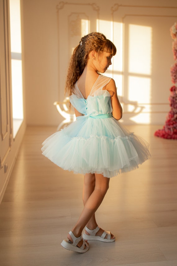 Baby Blue Tulle Dress, Junior Bridesmaid Dress, Kids Formal Baby Blue Tulle Dress, Junior Bridesmaid Dress, Kids Formal