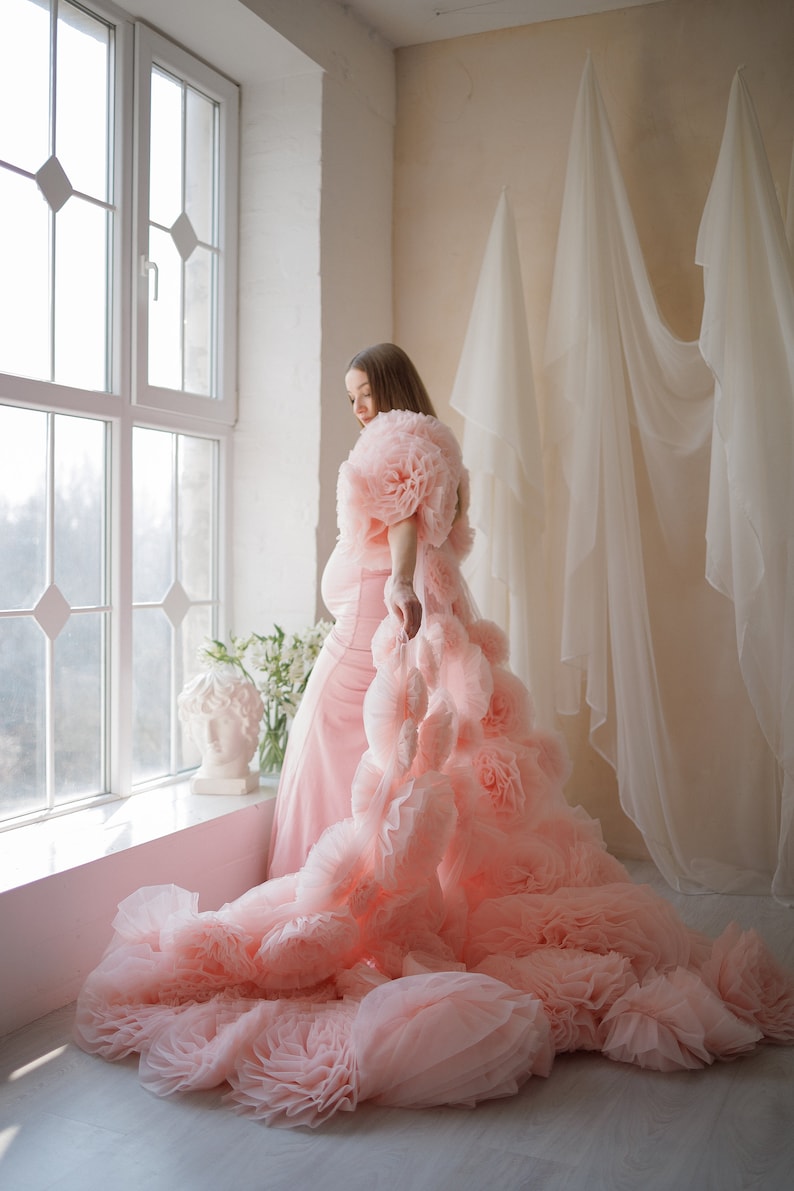 May include: A light pink maternity gown with a layered, ruffled design. The gown features a long train and a floral-like embellishment on the shoulders. The model is standing near a window with white curtains.