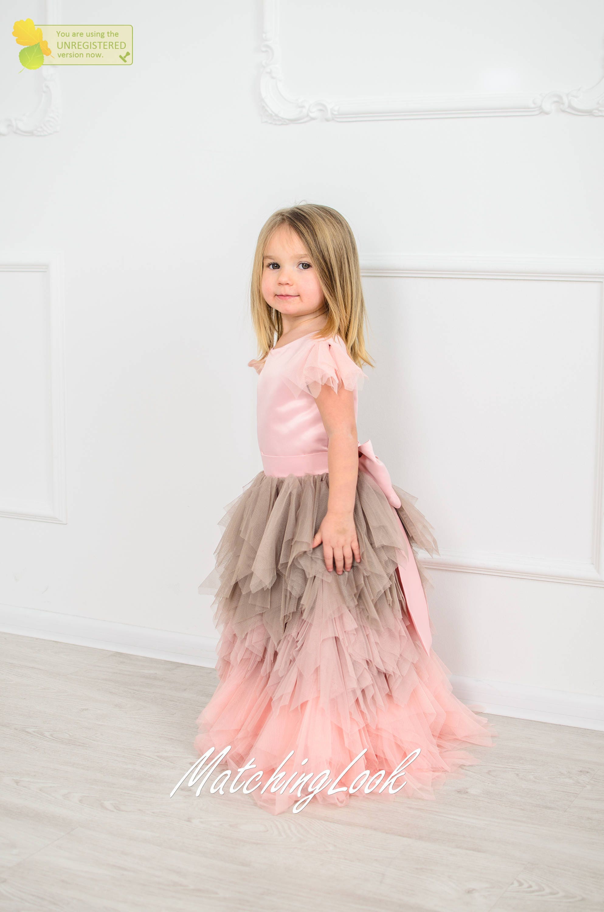 Birthday Dress 1 Year Old Flower Girl Dress Pink Tutu Dress Etsy
