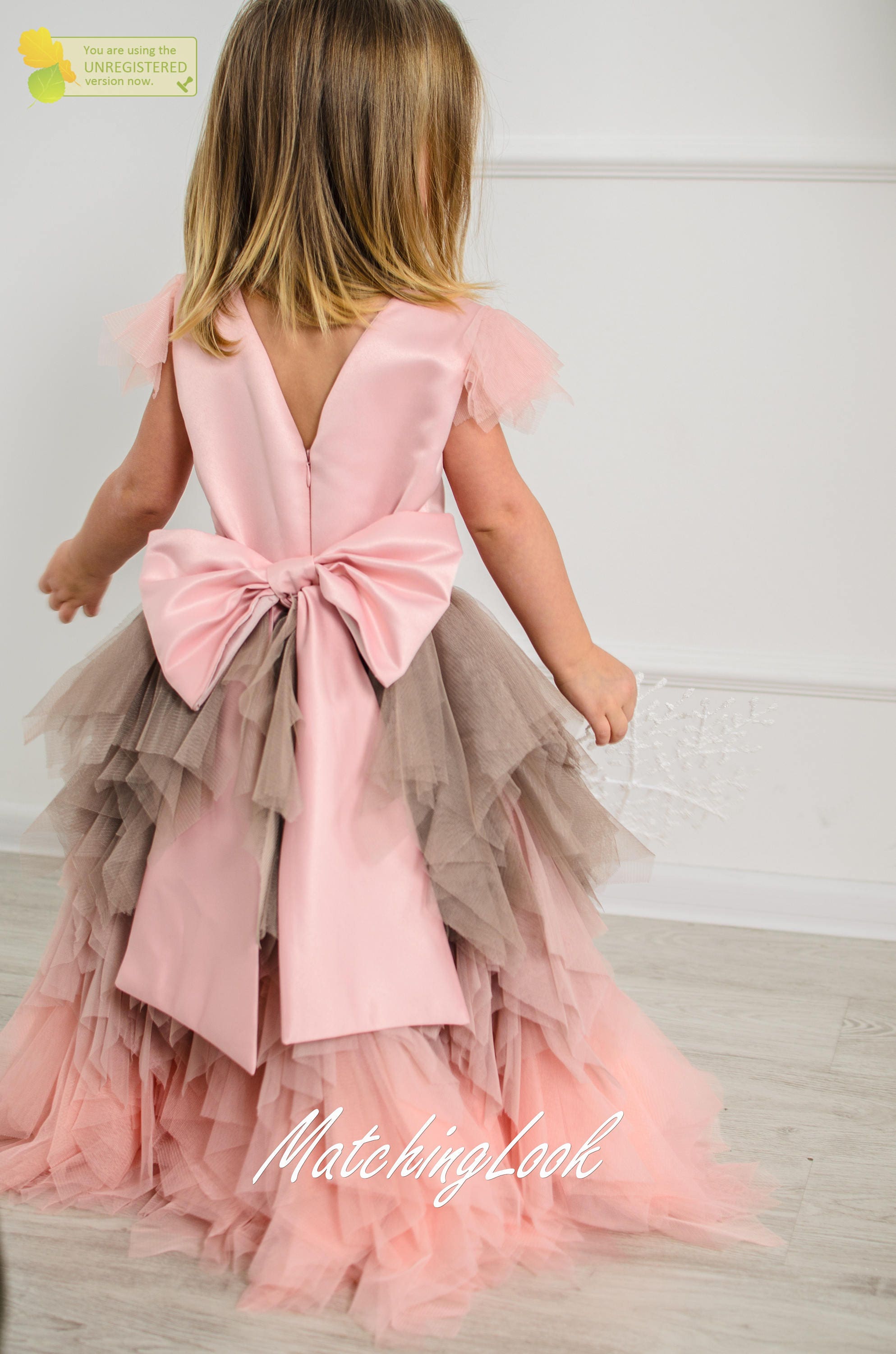 Birthday Dress 1 Year Old Flower Girl Dress Pink Tutu Dress Etsy