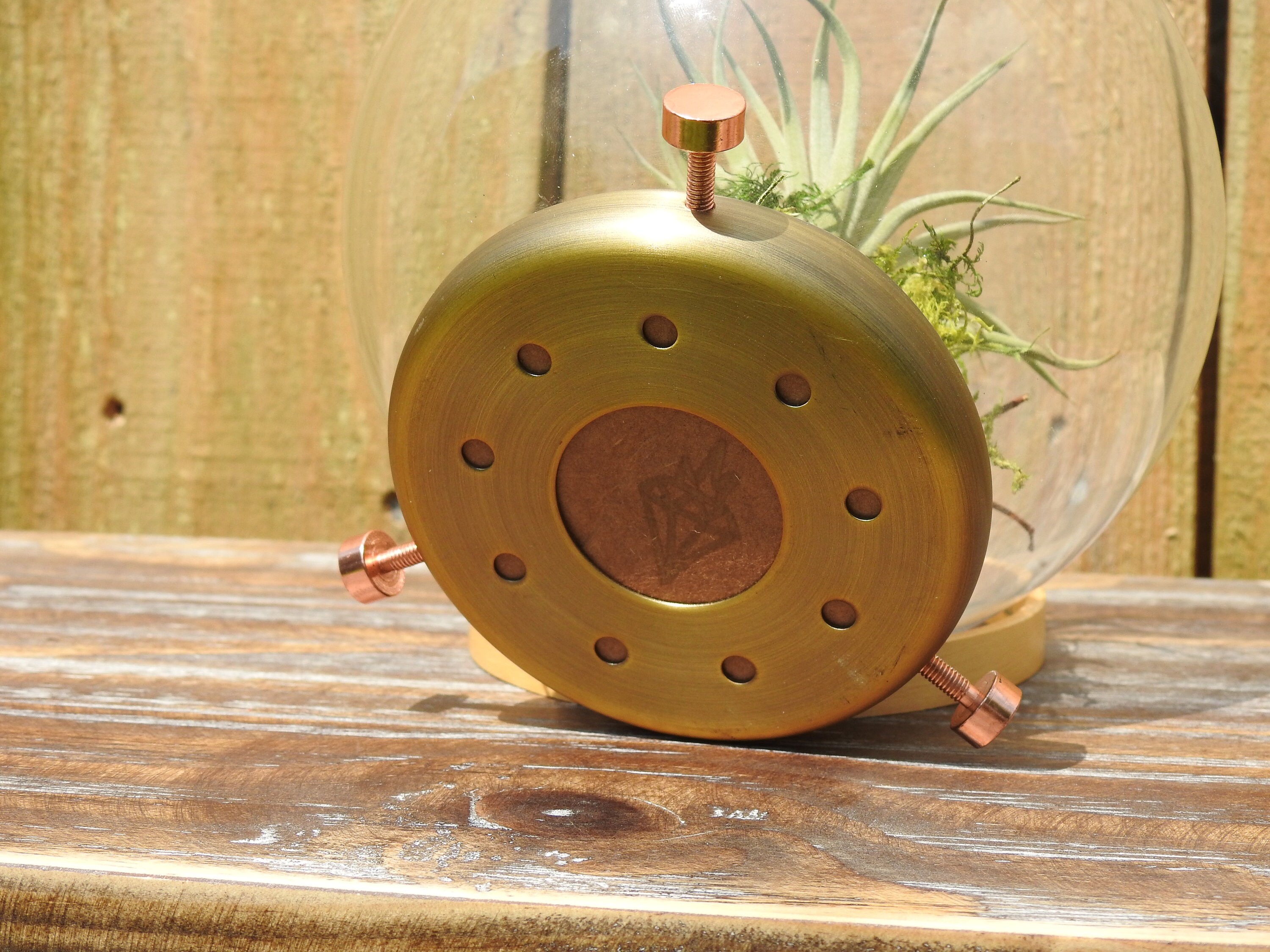 Glass Globe Planter Upcycled Industrial Air Plant Terrarium Etsy