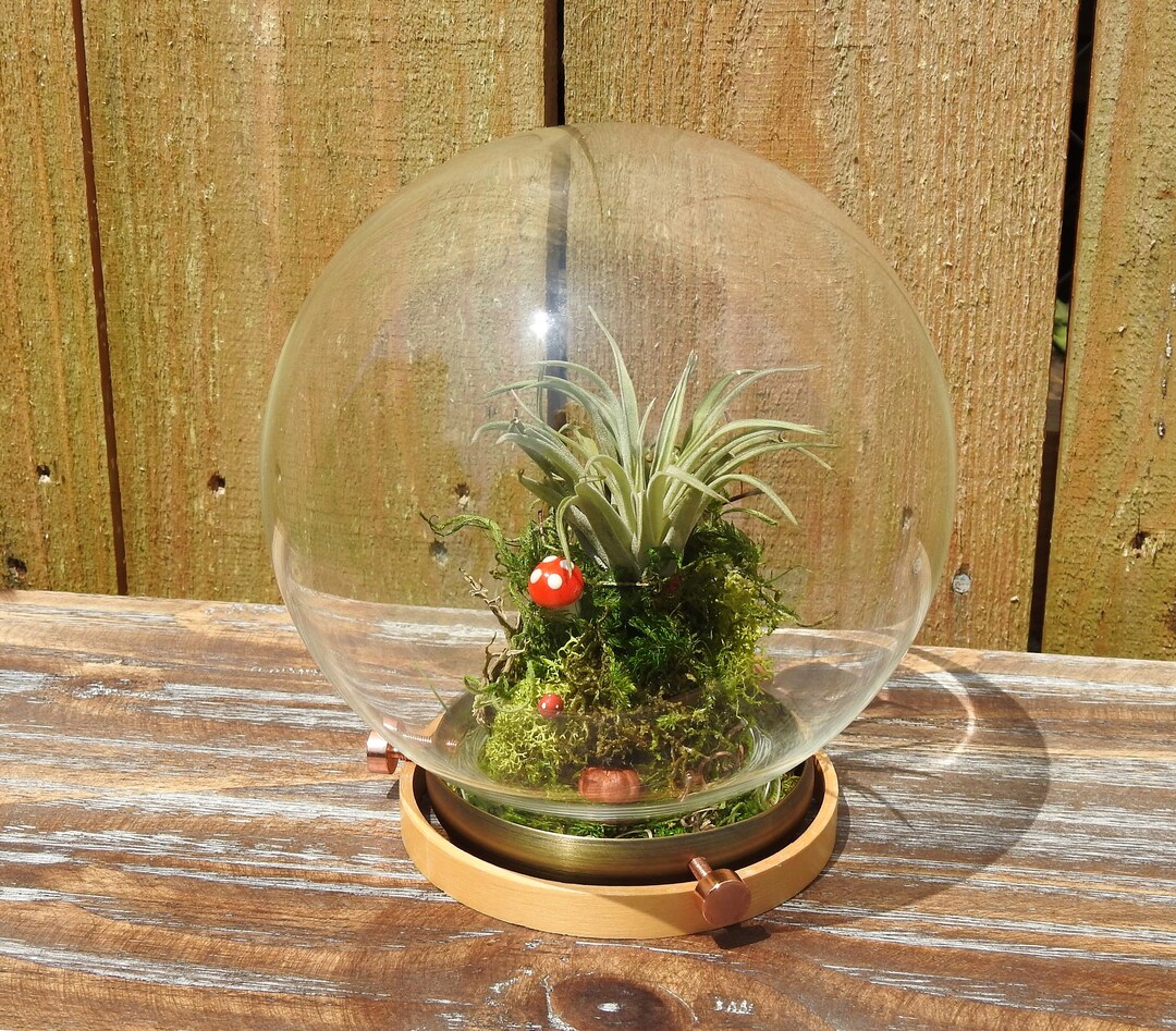 Glass Globe Planter Upcycled Industrial Air Plant Terrarium Etsy