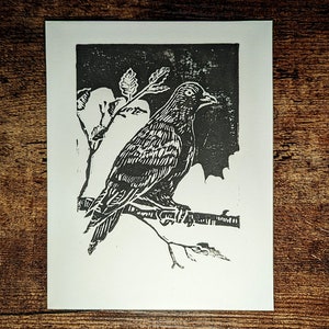 Pigeon- linocut Print (A)