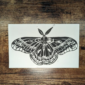 Cecropia Moth - Linocut Print ~7&quot;x4.25&quot; (B)