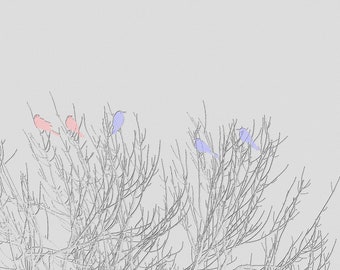 Abstract Birds in Tree Digital Download JPG