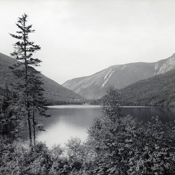 Vintage View Camera Image Digital Download Mountain Lake Resort from 8 X 10 Glass plate Negative Late 1800s to 1920s