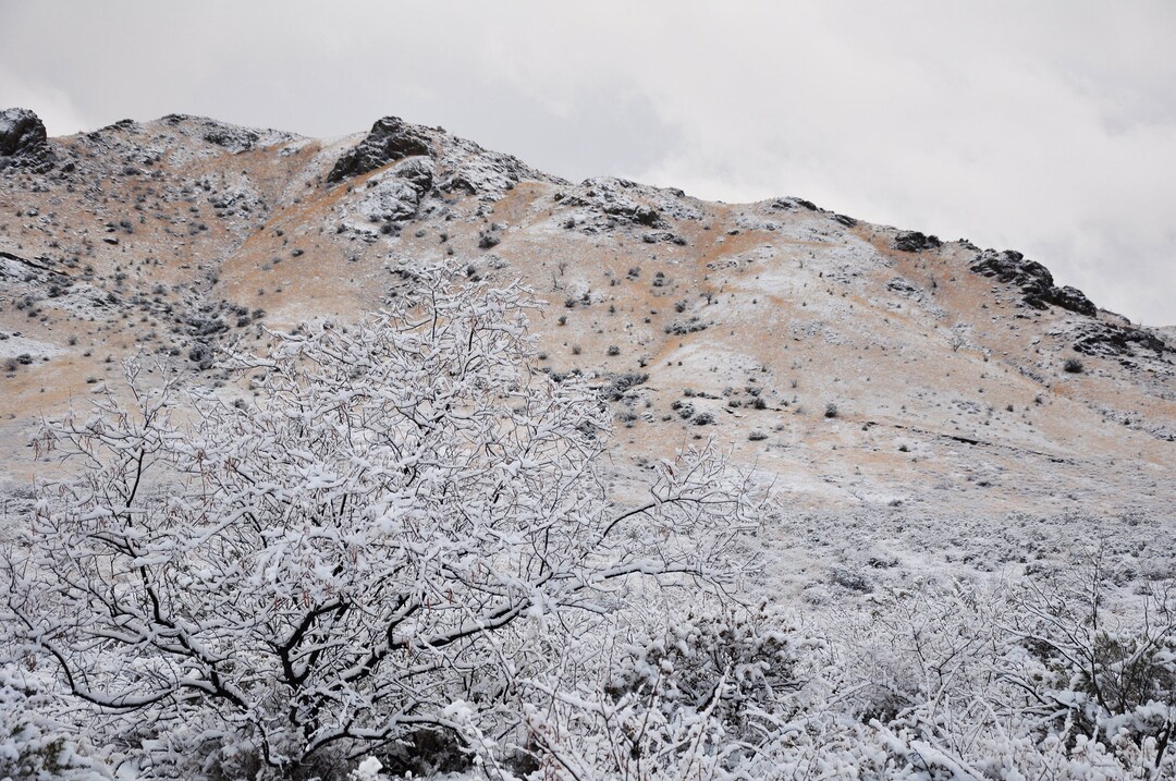 Snow in the Organ Mountains Las Cruces New Mexico, Printable Art, Décor
