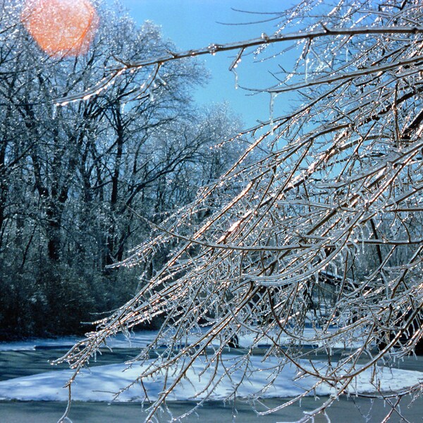 Ice Storm in Columbus Ohio Four Part Color Digital Download JPG 21 megapixels