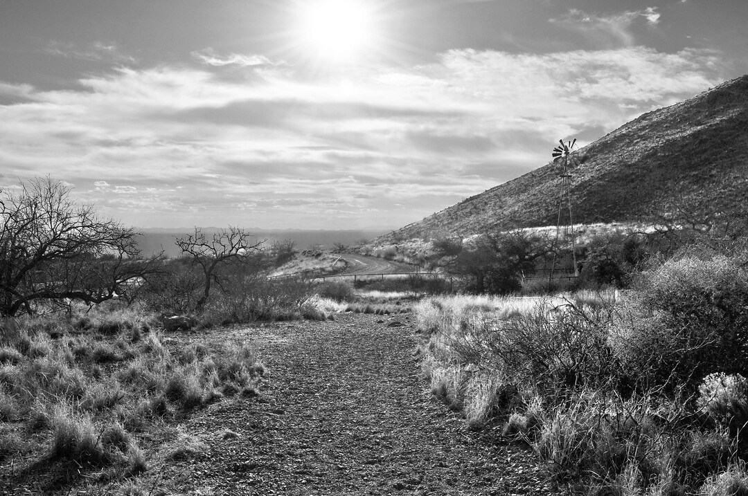 NouveauMexique Soledad Canyon Day Use Area Organ Peaks National