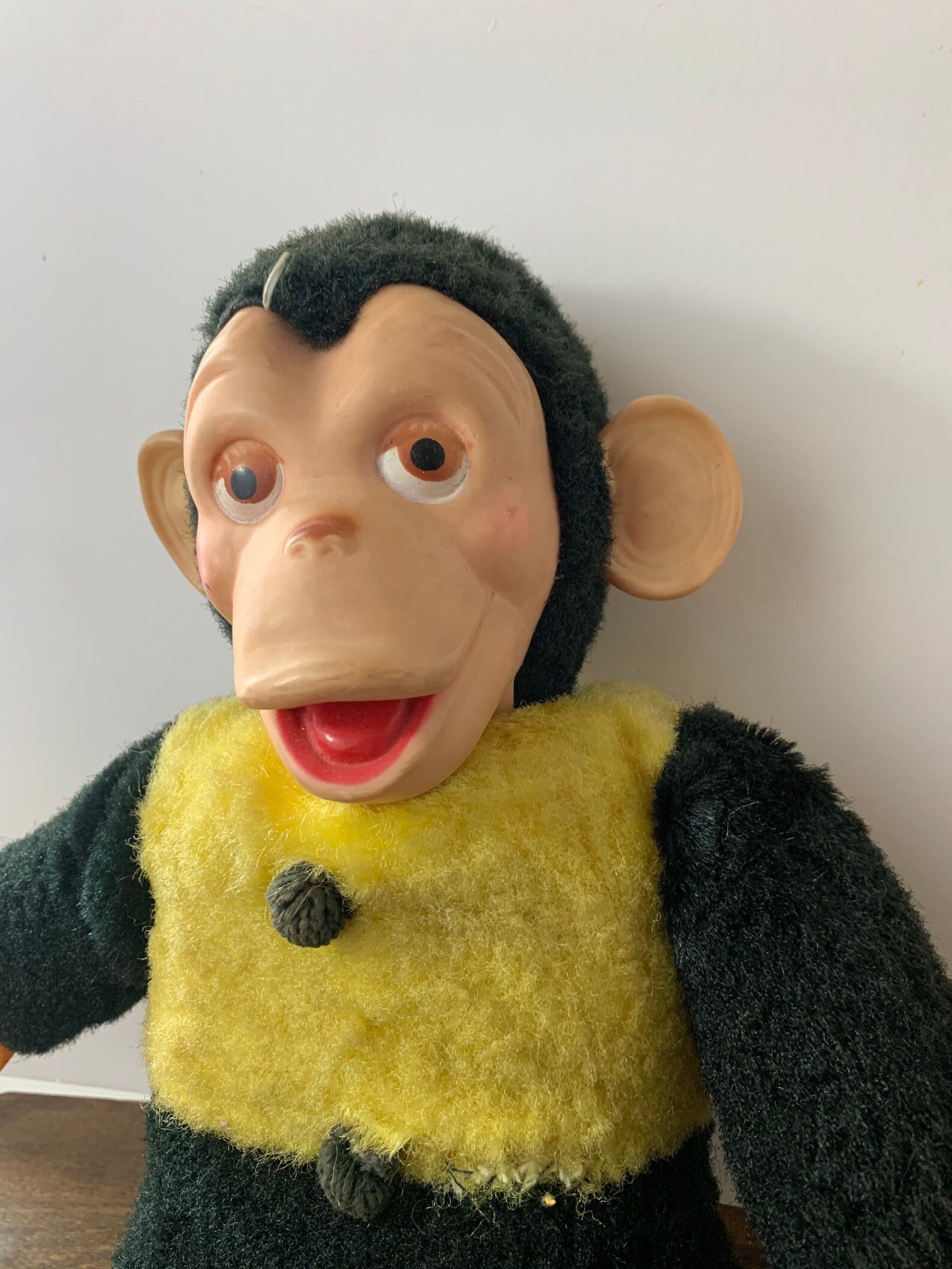 mr bim the monkey