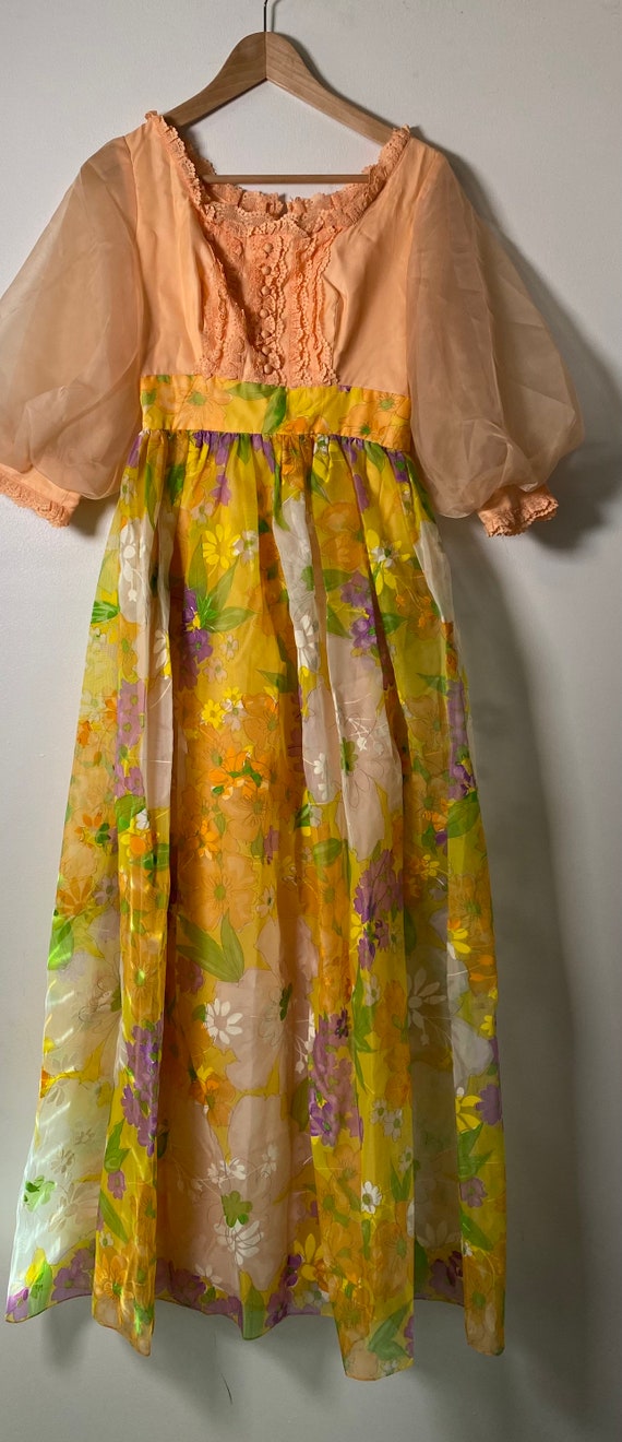 1960’s Peach Puff Sleeve Flower Meadow Maxi Dress