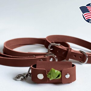 May include: A brown leather dog leash and collar set with silver-toned metal hardware, including a buckle and D-ring. A matching brown leather waste bag dispenser is included, featuring silver snaps and a green plastic bag visible inside.