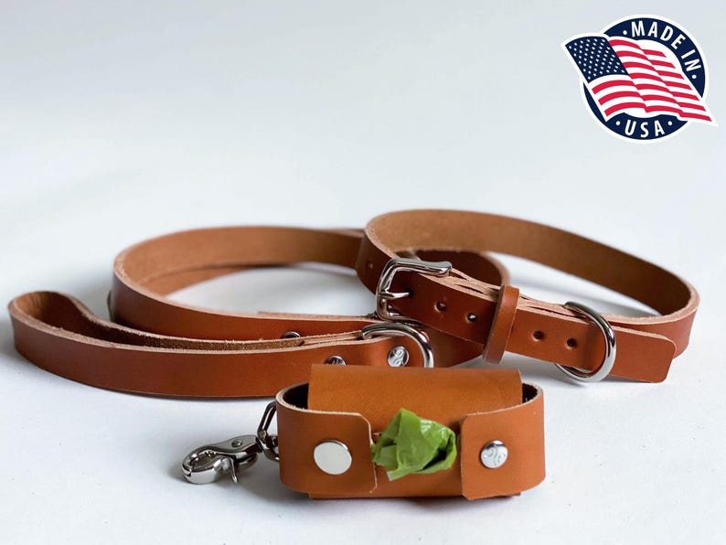 May include: A tan leather dog collar and matching leash set with silver-toned metal hardware, accompanied by a small tan leather waste bag dispenser featuring a silver snap closure and a green plastic waste bag protruding from the center.