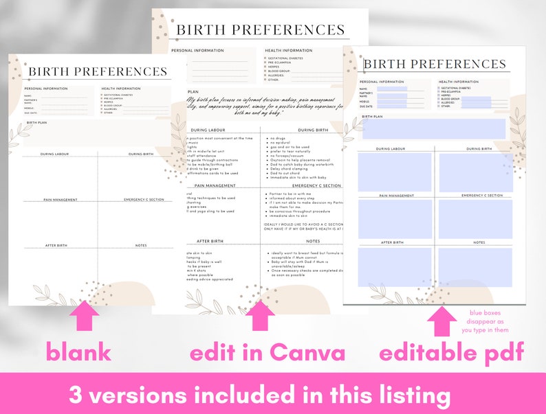 Birth Plan Template Birthing Preferences Printable Birthing Plan Labour ...