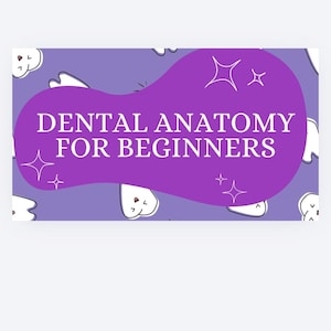 May include: A rectangular graphic with a purple background featuring a repeating pattern of white cartoon teeth with simple facial expressions. A large, central purple organic shape contains the white text DENTAL ANATOMY FOR BEGINNERS.