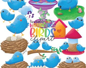 Bird Clipart Watercolor Blue Bird Spring Summer Easter Bird House Bird Life Cycle Clipart PNG Image Instant Digital Download