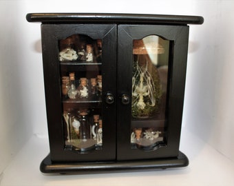 Cabinet of Curiosities