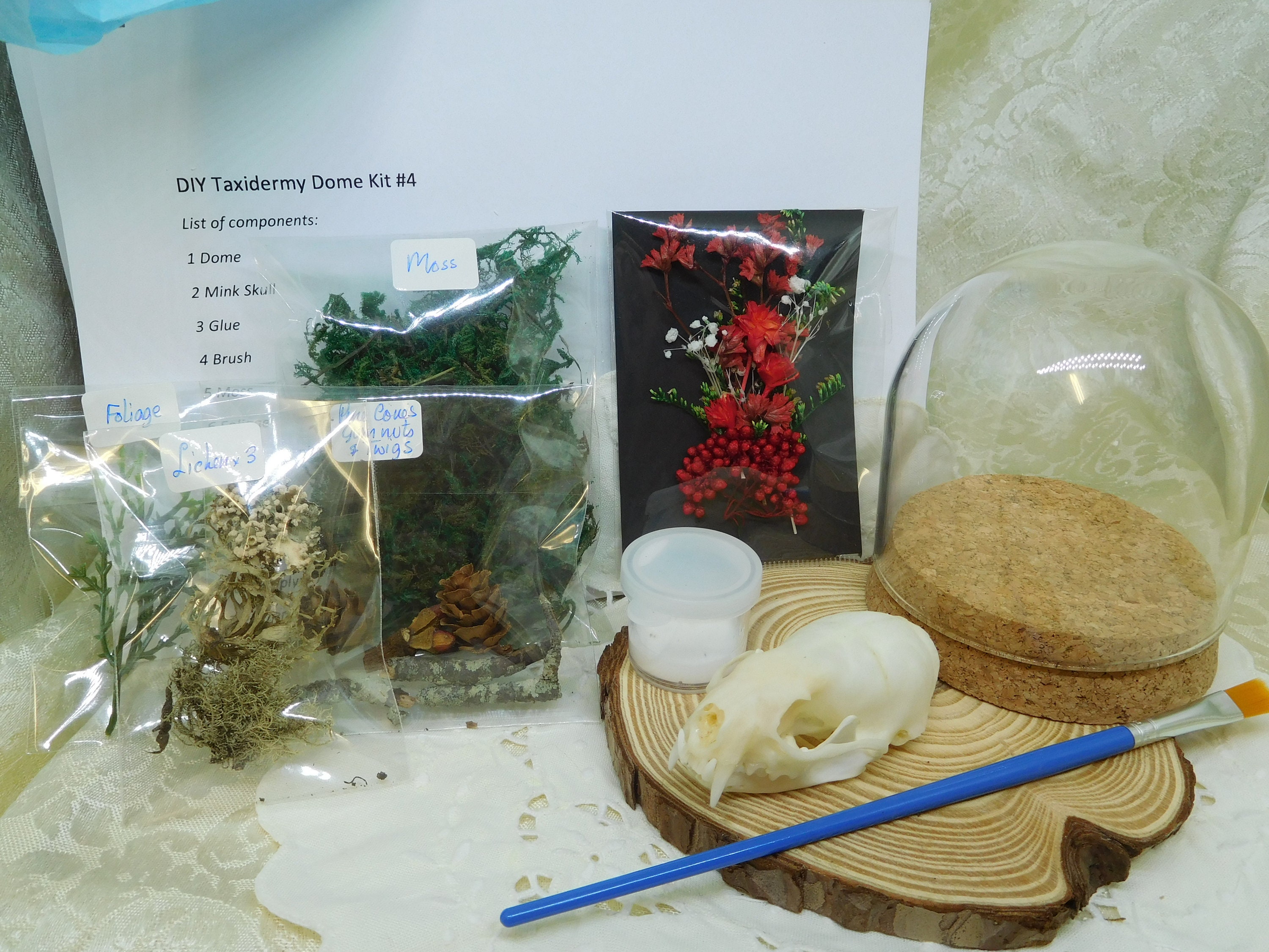 DIY Taxidermy Kit 4 Etsy Australia