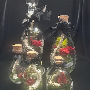 May include: A collection of five clear glass bottles of varying shapes and sizes, each containing a white spinal column model, red artificial roses, and green foliage. Each bottle is sealed with a cork or glass stopper and tied with a black ribbon.