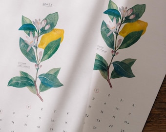 Calendario 2026 · Calendario 2026 · Calendario 2026