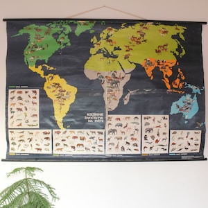 Op de afbeelding: Een vintage wereldkaartposter met een zwarte lijst en een witte achtergrond. De kaart toont de verspreiding van dieren op de planeet. De kaart is getiteld "ROZŠÍŘENÍ ŽIVOČICHŮ NA SVĚTĚ".