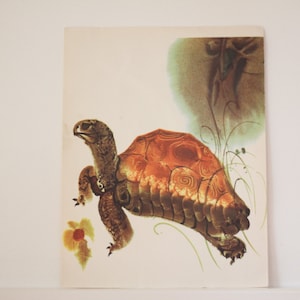 VENTA Tortuga Vintage Cartel Mirko Hanak Ilustración hecha en ChecoslovaquiaAnimal Print Home Decor Nursery
