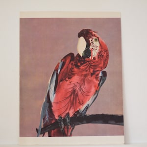 Parrot Watercolor Print Vintage Poster Made in Czechoslovakia Animal Print Home Decor Nursery