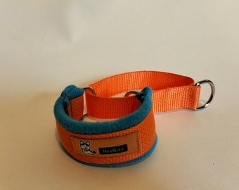 Martingale teal and orange dog collar - suit galgo types