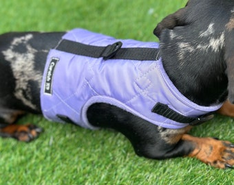 Waterproof Quilted Dachshund Harness: Fleece Lined, No-Rub Design