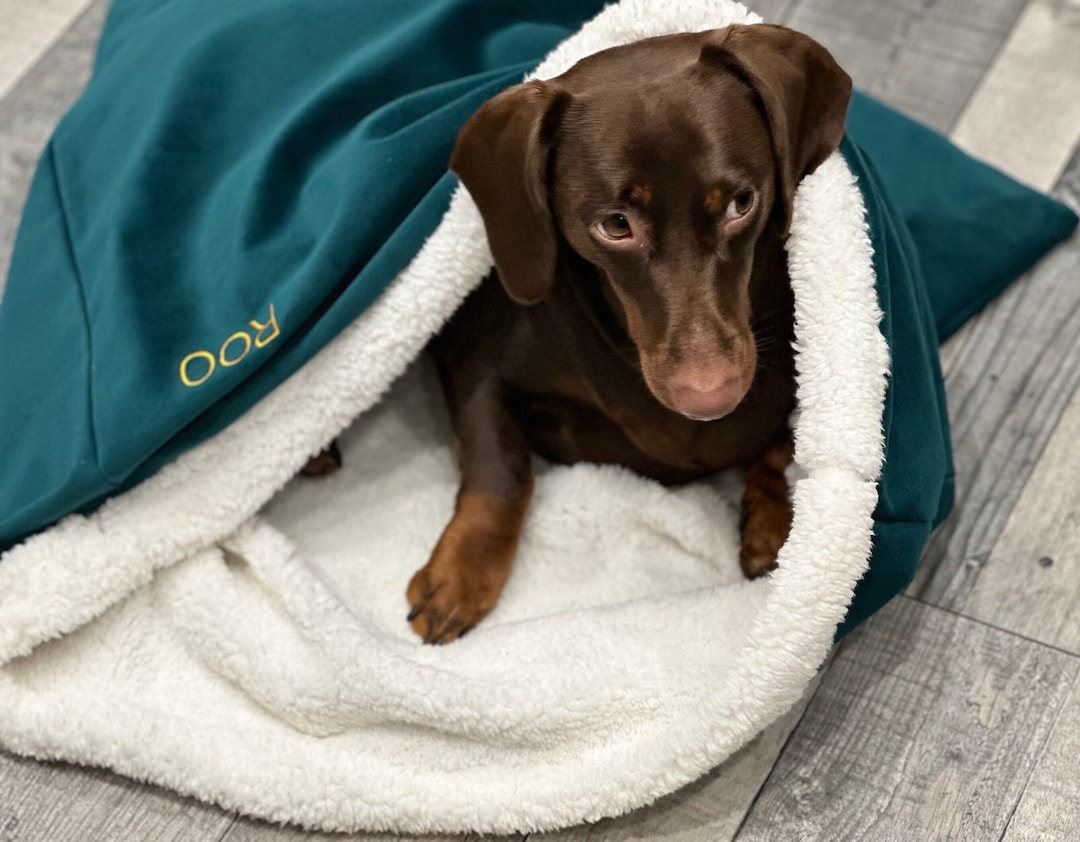 Valour Dog Snuggle Sack ,padded Dog Snuggle Sack, Puppy Snuggle Sack ,dachshund Snuggle Sack